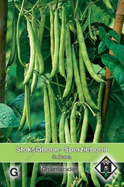 Stokslaboon/sperzieboon Mamba