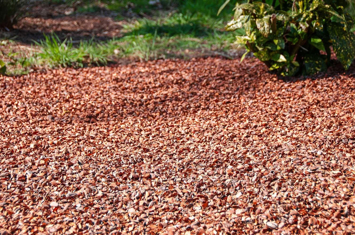 Big bag cacaodoppen (1 m³) - gratis bezorgd