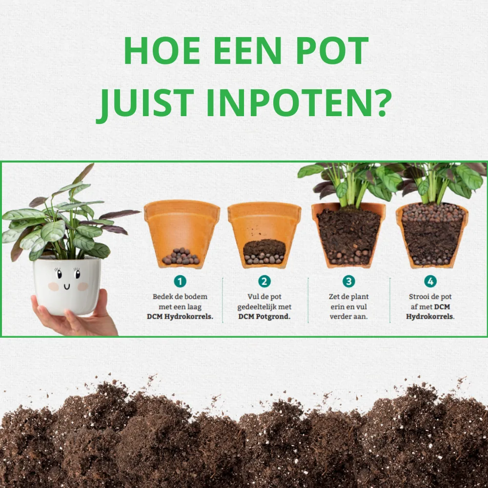Potgrond Vleesetende Planten 5 L (foto 2)