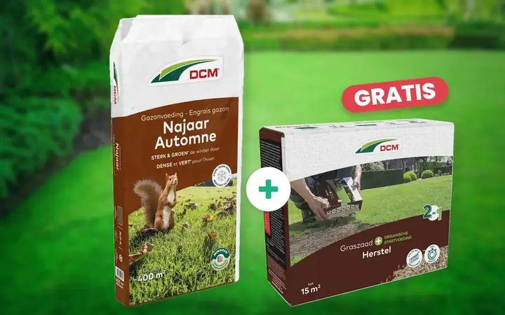DCM Gazonvoeding Najaar 20 kg met gratis DCM Graszaad Herstel 225 gram