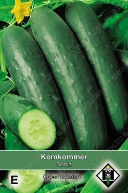 Komkommer 'Sonja'