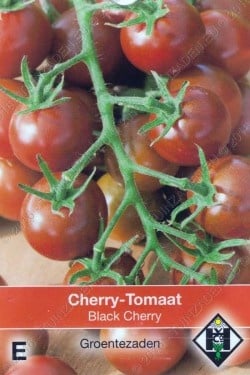 Cherry-Tomaat Black Cherry