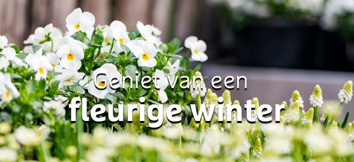 b8ebe898-bca0-45b1-a0a6-7dd864dceb27