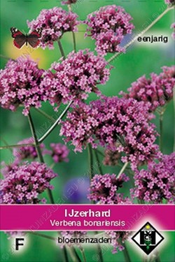 IJzerhard