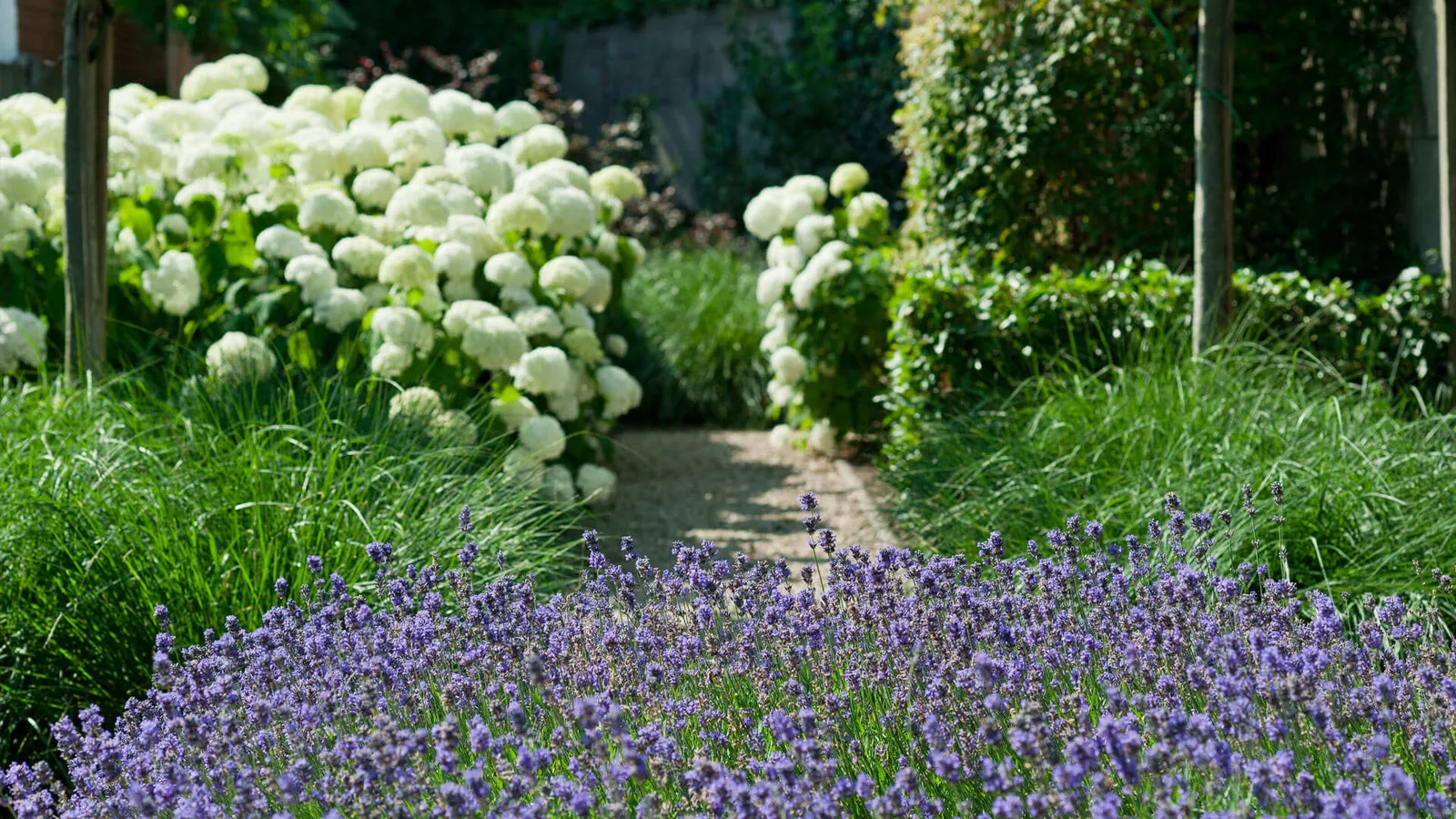 Siertuin
