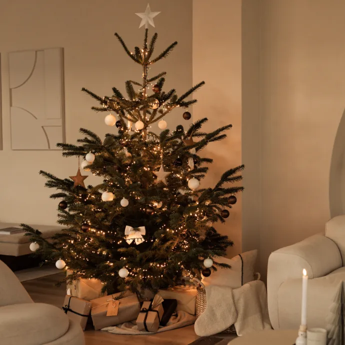 Echte kerstboom - Nordmann - 225-250 cm - Gezaagd (foto 2)