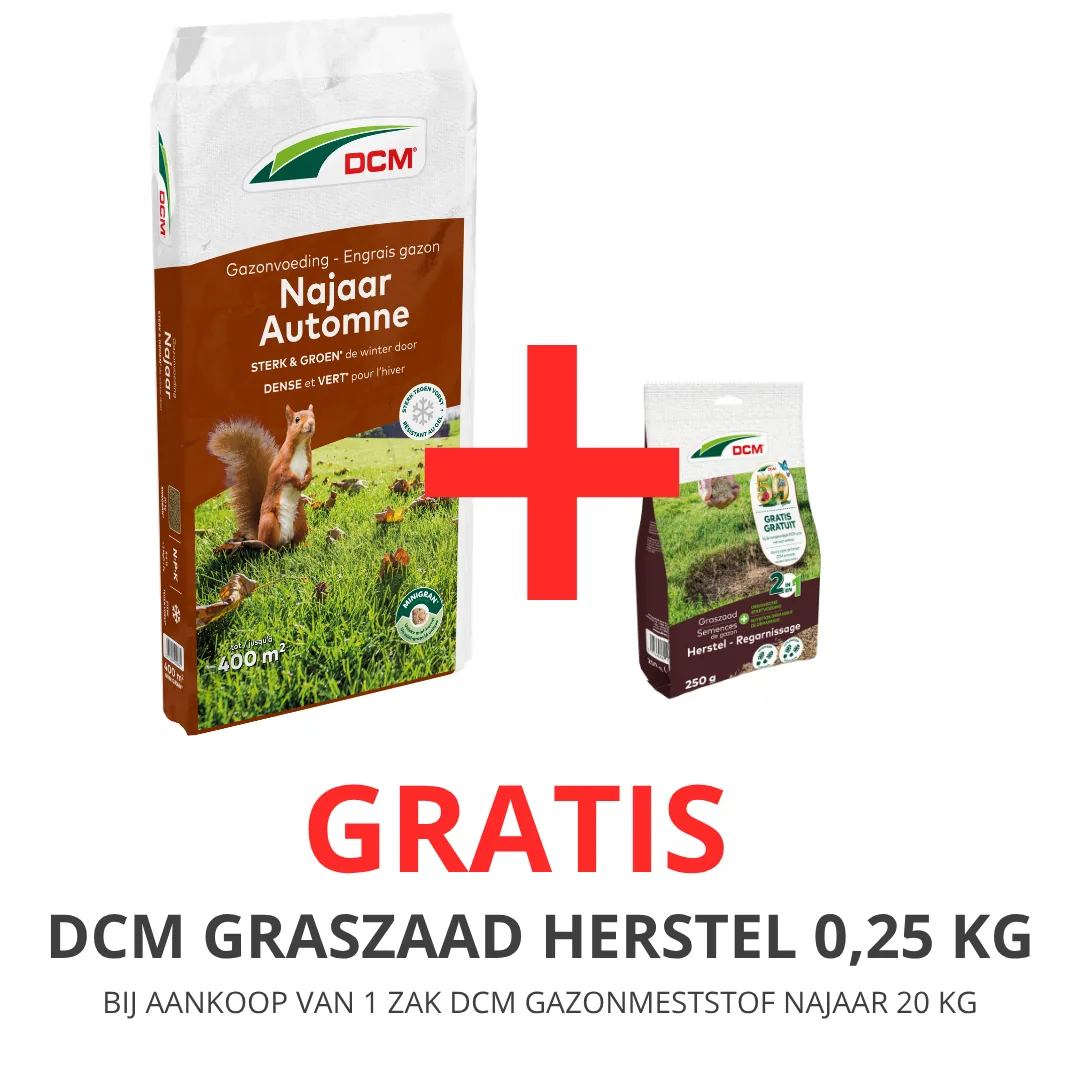 DCM Gazonmeststof Najaar 20 kg met gratis DCM Graszaad Herstel 0,25 kg