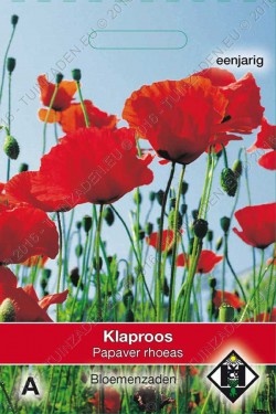 Klaproos
