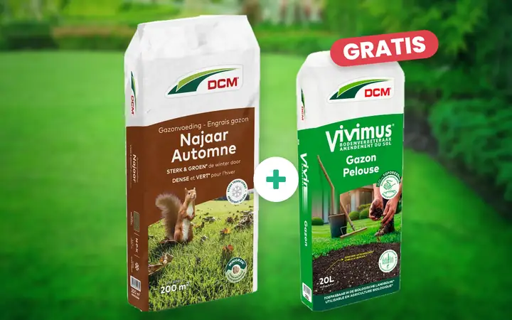 DCM Gazonvoeding Najaar 10 kg met gratis DCM Vivimus Gazon 20 liter