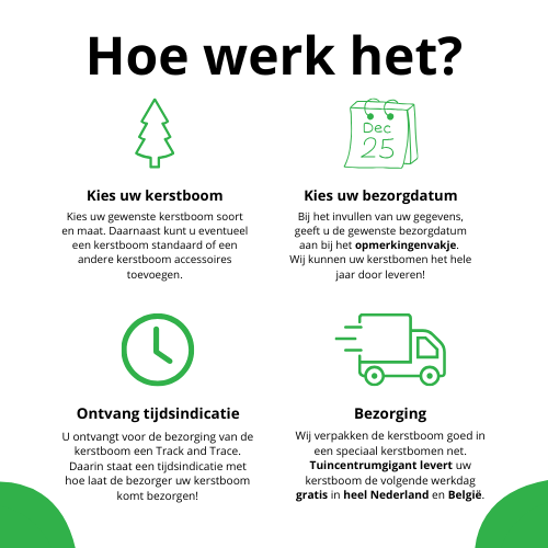 Echte kerstboom 125-150cm