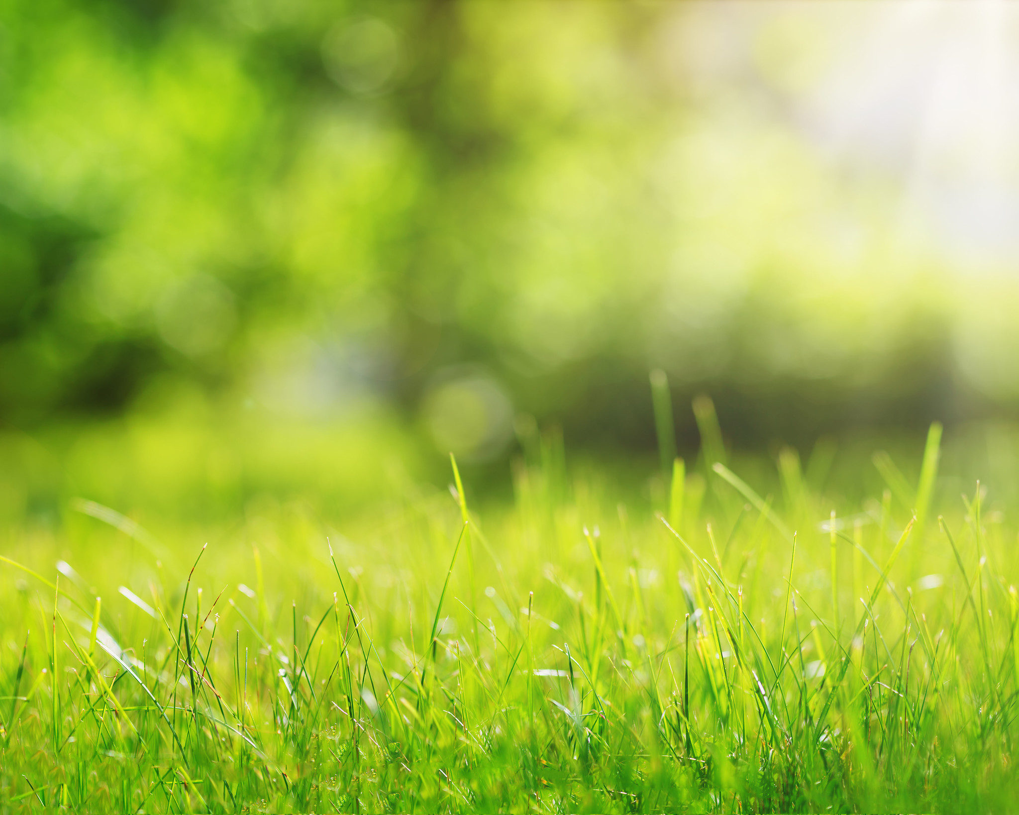 stikstof-goed-voor-tuin