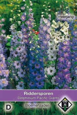Ridderspoor 'Pacific Giant'