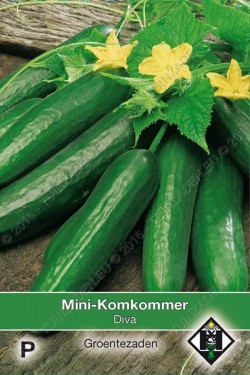 Mini Komkommer Diva