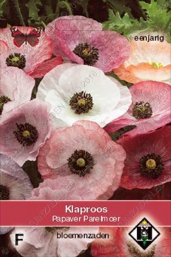 Klaproos 'Parelmoer'