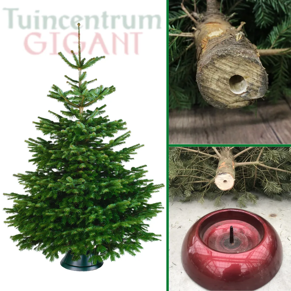 Easyfix gat in een kerstboom