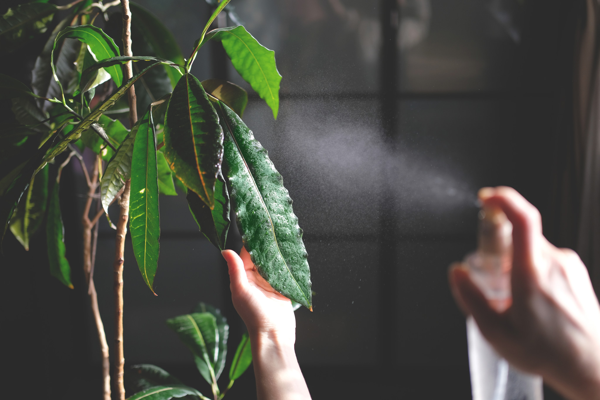 adobestock-488582738