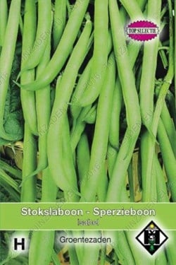 Stokslaboon/Sperzieboon Isabel
