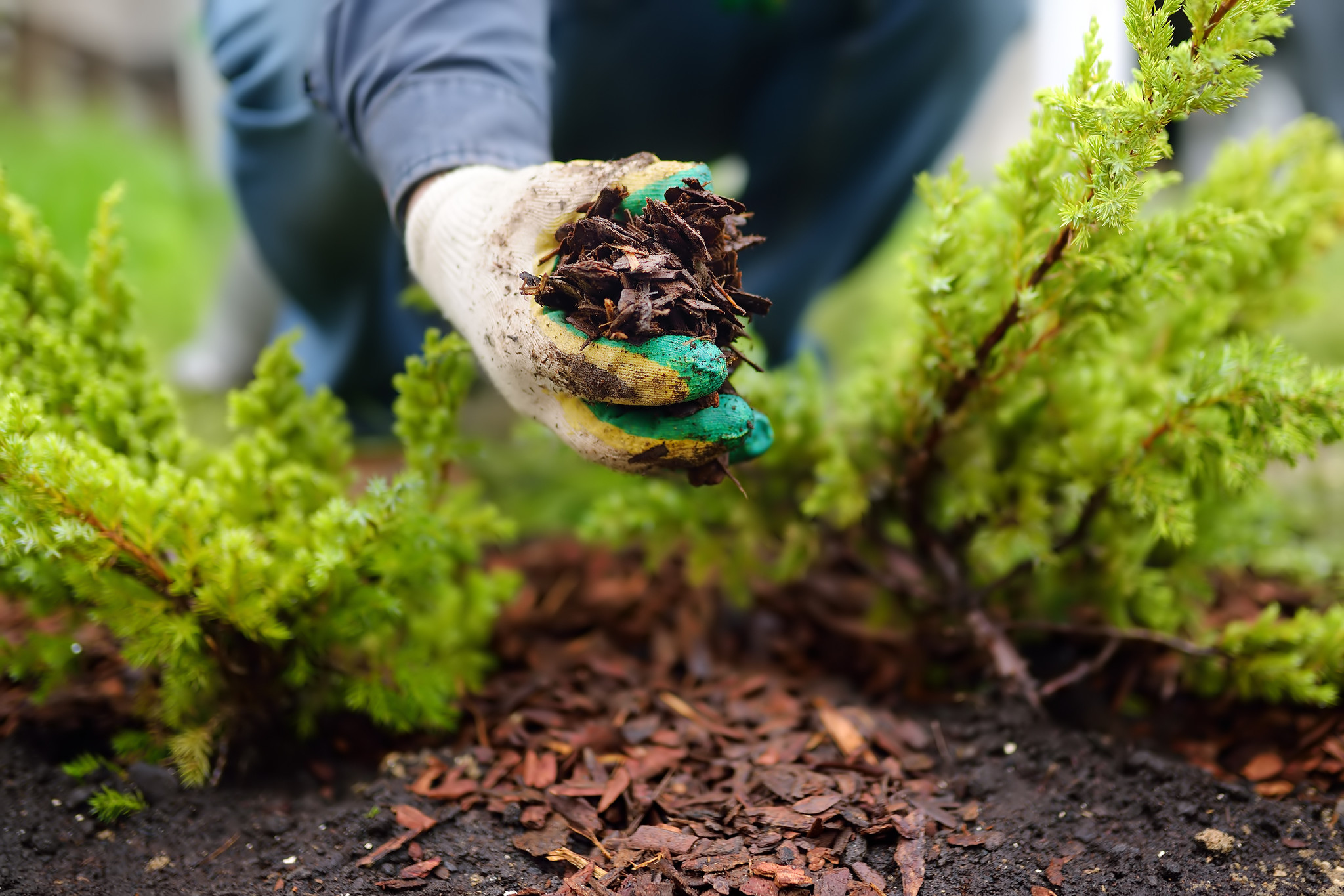 adobestock-357688672_(1)