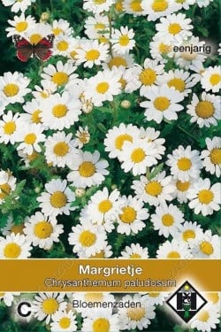 Margrietjes 'paludosum'