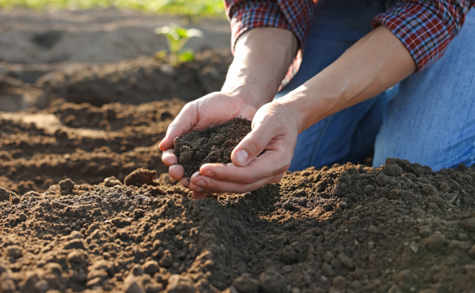 Wanneer bemeste tuinaarde of potgrond gebruiken