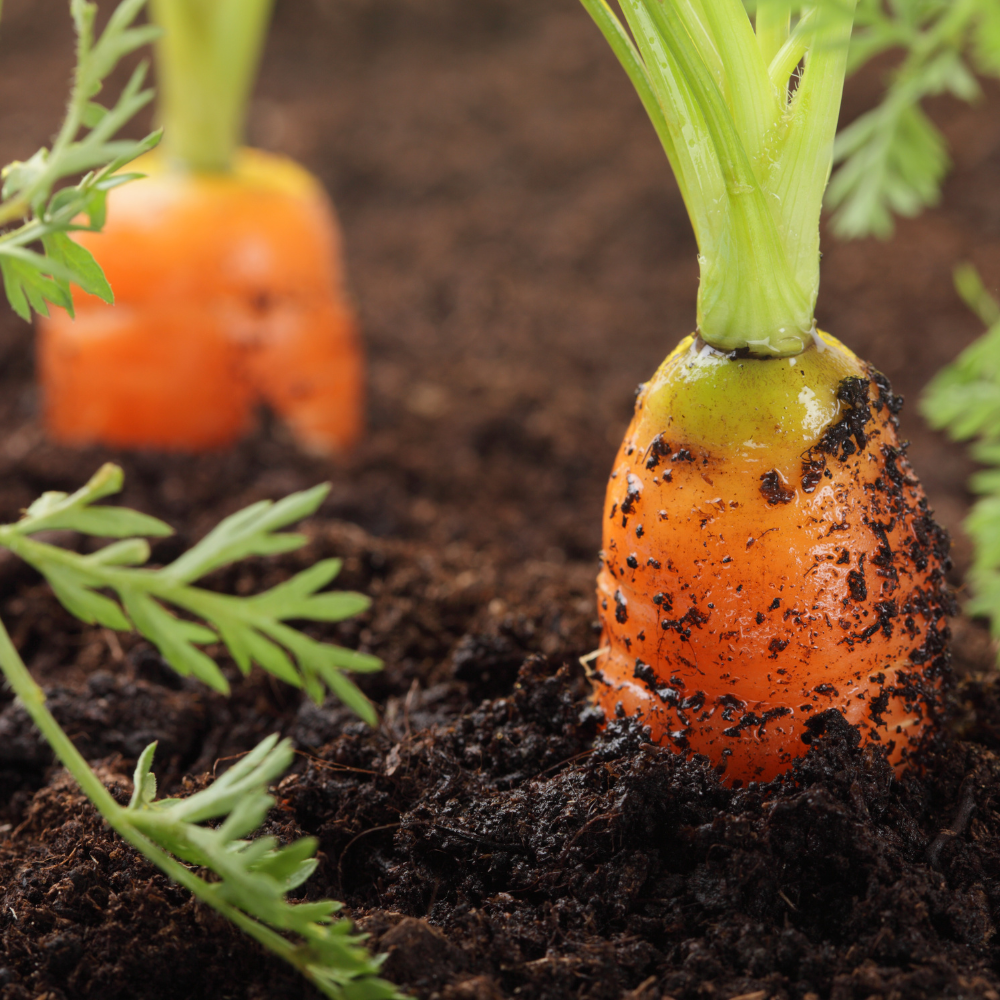 Biologische Moestuingrond 40 liter