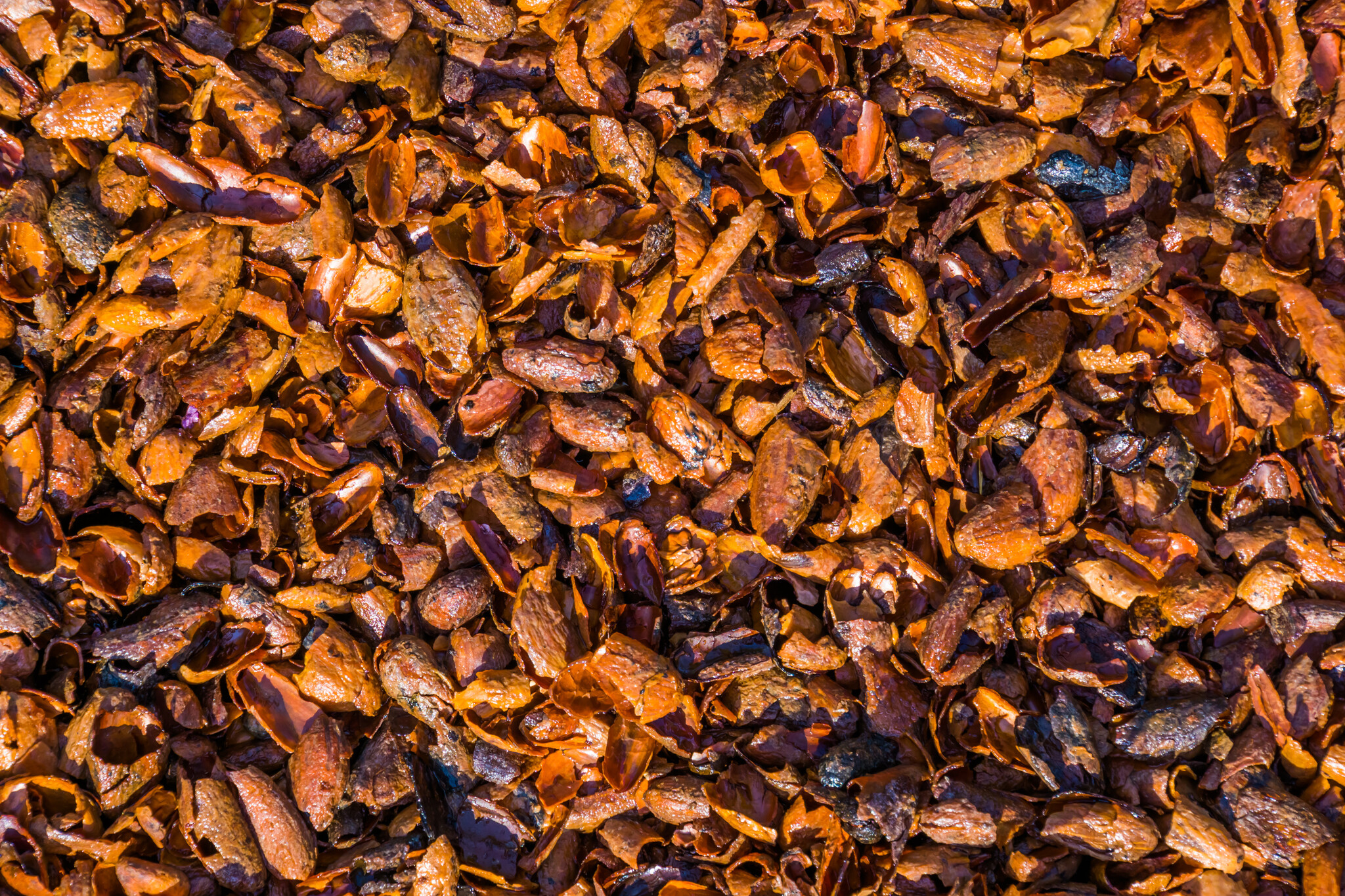 adobestock-325343599