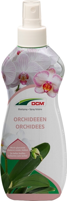 Bladspray Orchideeën