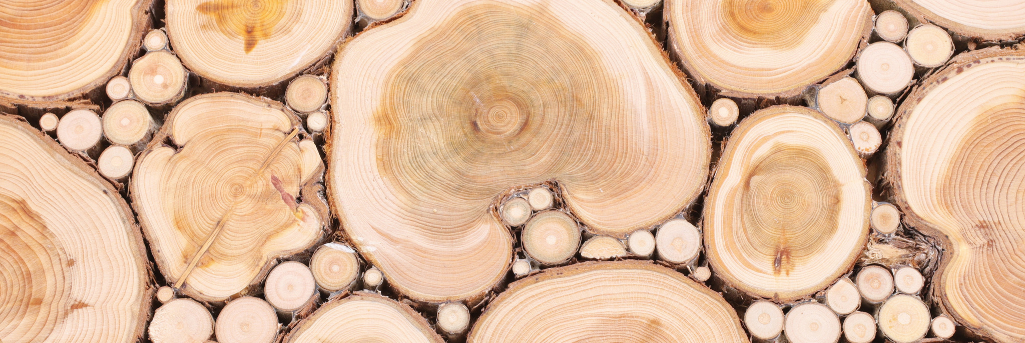 adobestock-454405836