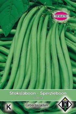 Stokslaboon/sperzieboon Cobra