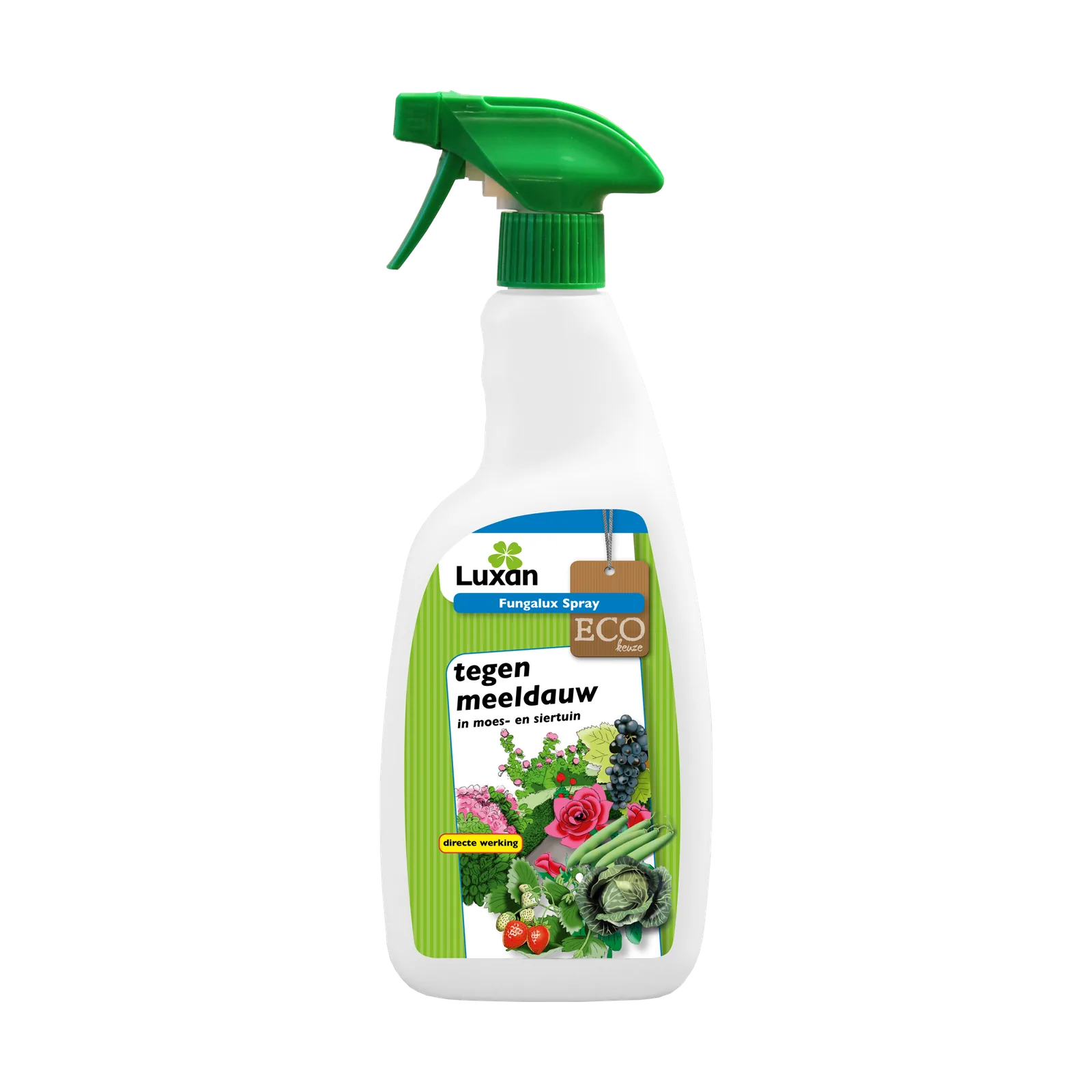 Luxan Fungalux Spray 750 ml