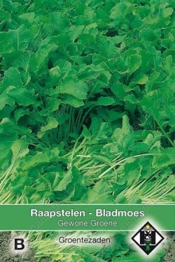 Raapstelen - Bladmoes Gewone groene