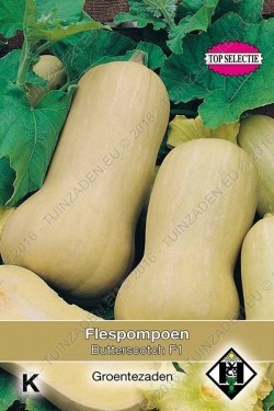 Flespompoen Butterscotch F1