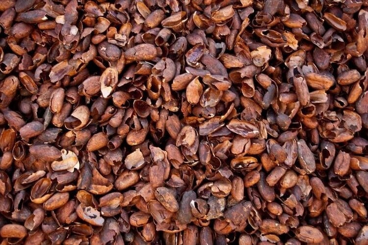 Cacaodoppen
