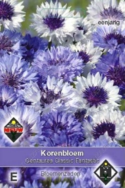 Korenbloem 'Classic Fantastic'