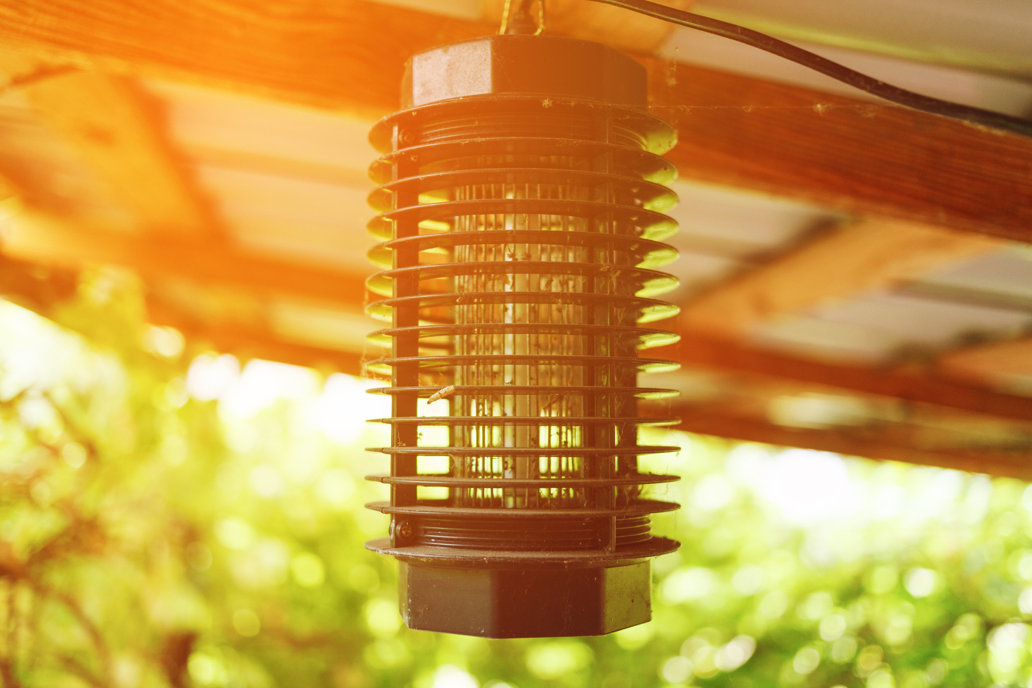 adobestock-289918488 adobestock-289918488