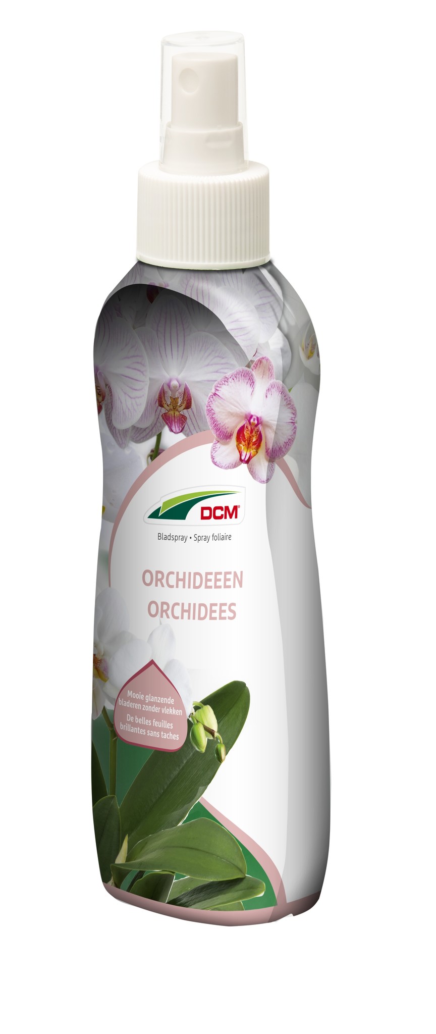 Bladspray Orchideeën