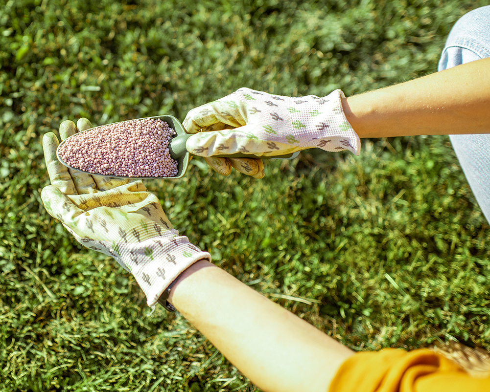 dit-is-hoe-je-gras-bemest dit-is-hoe-je-gras-bemest