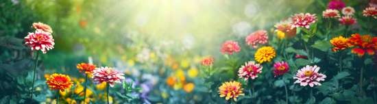 planten-geschikt-voor-kleigrond planten-geschikt-voor-kleigrond