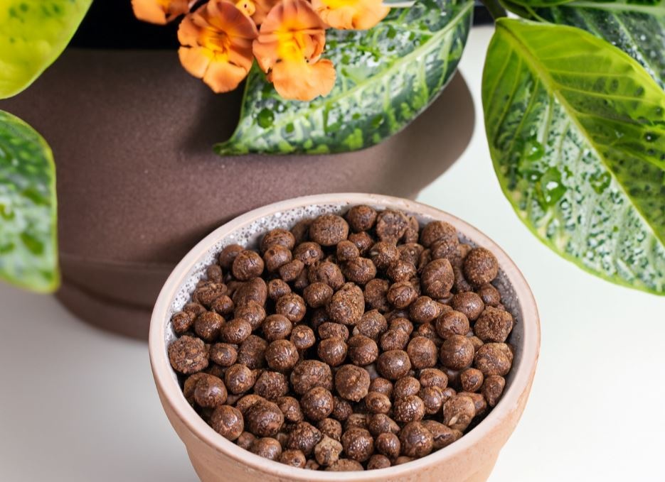 hoeveel-hydrokorrels (1)