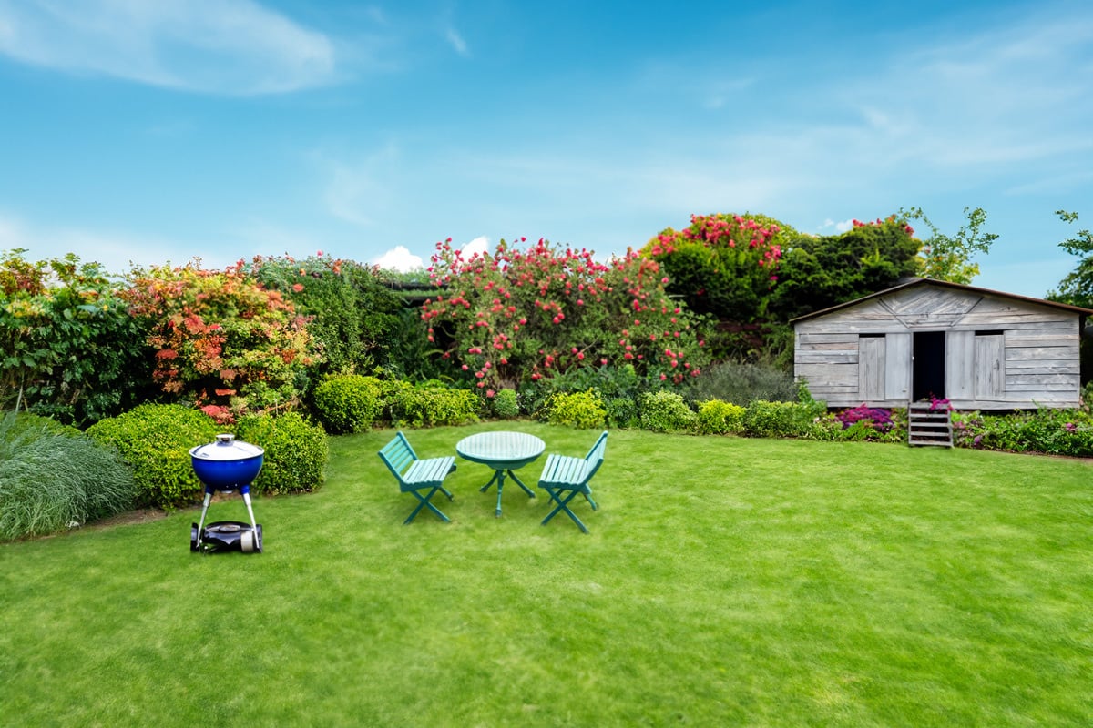 hoe-vaak-kalk-aanbrengen-om-uw-gazon-gezond-te-hou