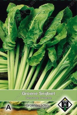 Gewone groene snijbiet