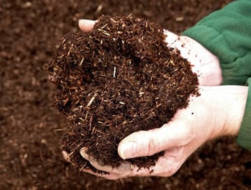 het-aanplanten-van-hagen-en-bomen-2