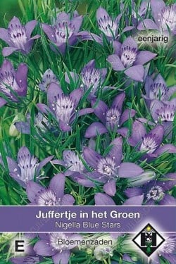 Juffertje-in't-groen 'Blue Star'