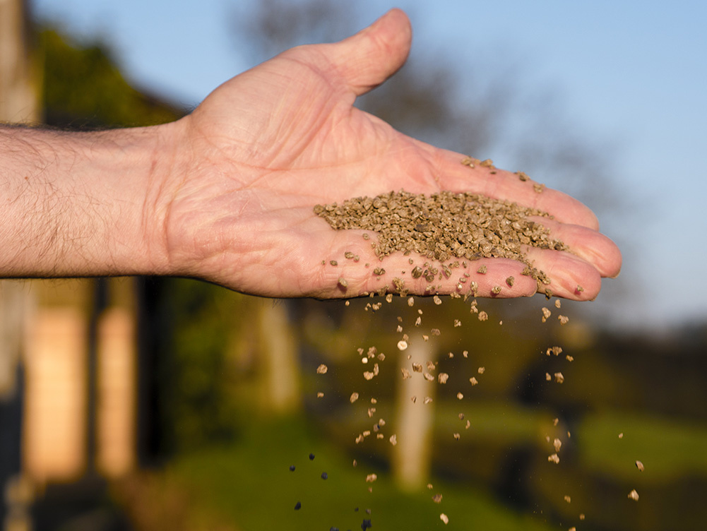 uitleg-over-wanneer-je-het-gazon-het-beste-kunt-be