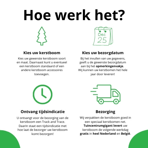 Echte kerstboom 375-400cm