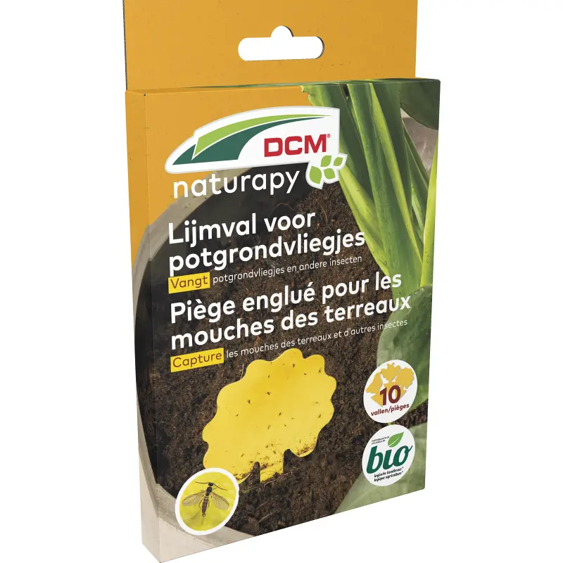 DCM Lijmval voor potgrondvliegjes 10 st