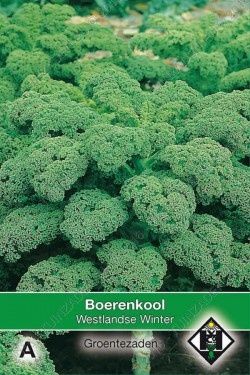 Boerenkool Westlandse Winter