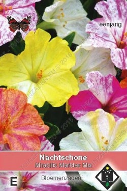 Nachtschone 'Marbles Mix'