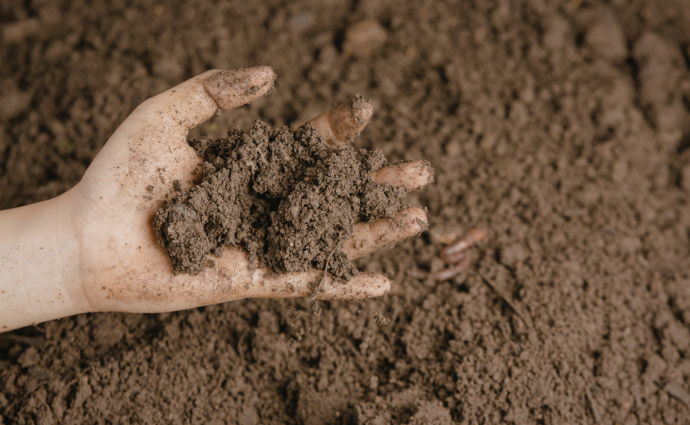 Border vullen met tuinaarde of potgrond